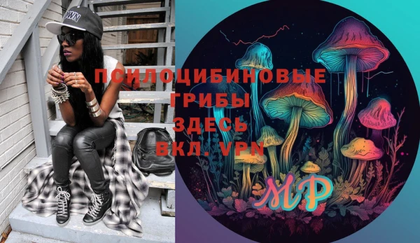 мдпв Абинск