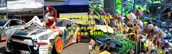 каннабис Алексеевка