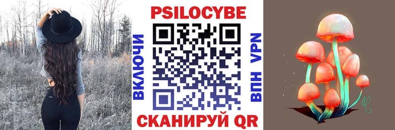 цены   Брюховецкая  Галлюциногенные грибы Psilocybe 